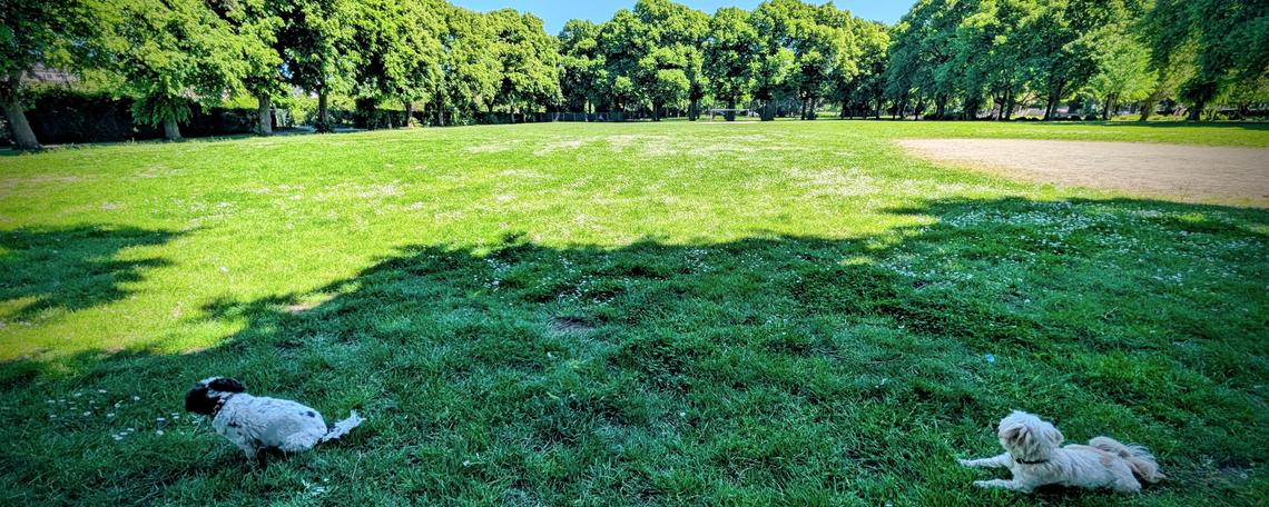 Titelbild von Sebastian Züger